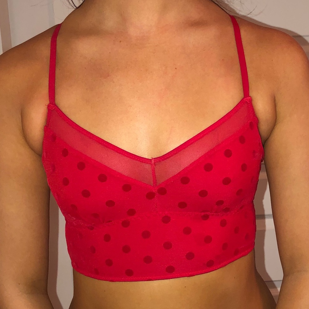 Red Velvet Polka Dott Gilly Hicks Bralette - XS